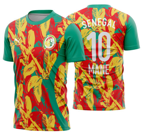Arte vetor camisa Senegal Pré-jogo 2024-2025