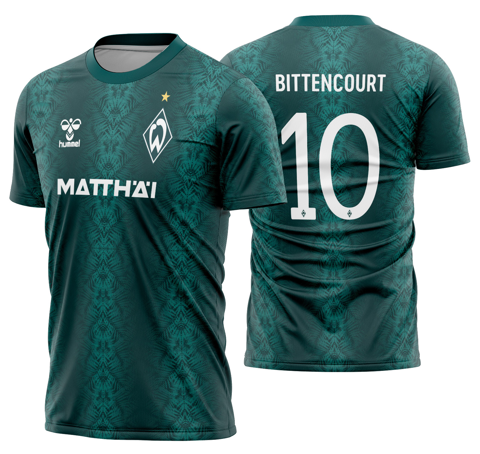 Arte Vetor Camisa Werder Bremen Concept 2025
